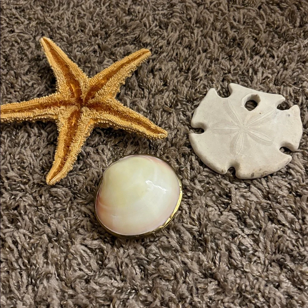 Beach Natural Decor Set Starfish, Sand Dollar, Shell Coin Purse